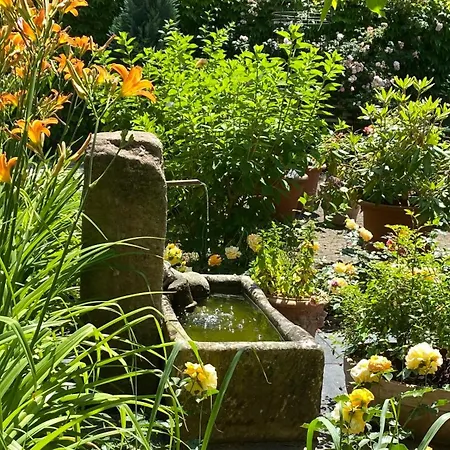 Villa zur Erholung Bed&Breakfast-2